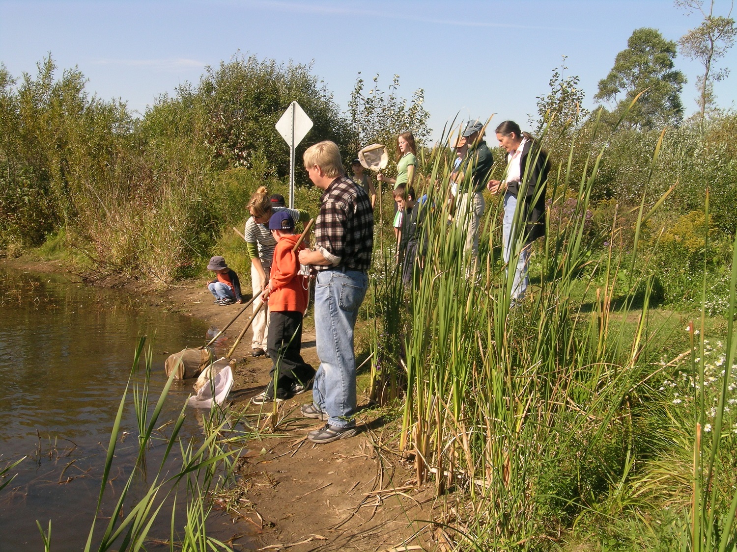 Kids with nets at edge of wetland